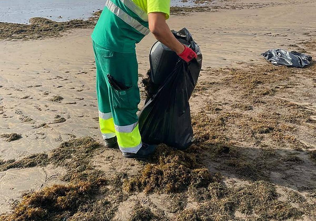 Limpieza de algas en Ojos de Garza.