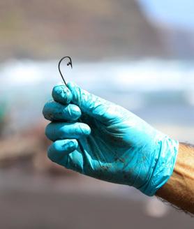 Imagen secundaria 2 - Investigan la muerte del cachalote en La Palma