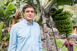Domingo Martín Ortega, reelegido como presidente de la Asociación de Organizaciones de Productores de Plátanos de Canarias (ASPROCAN).
