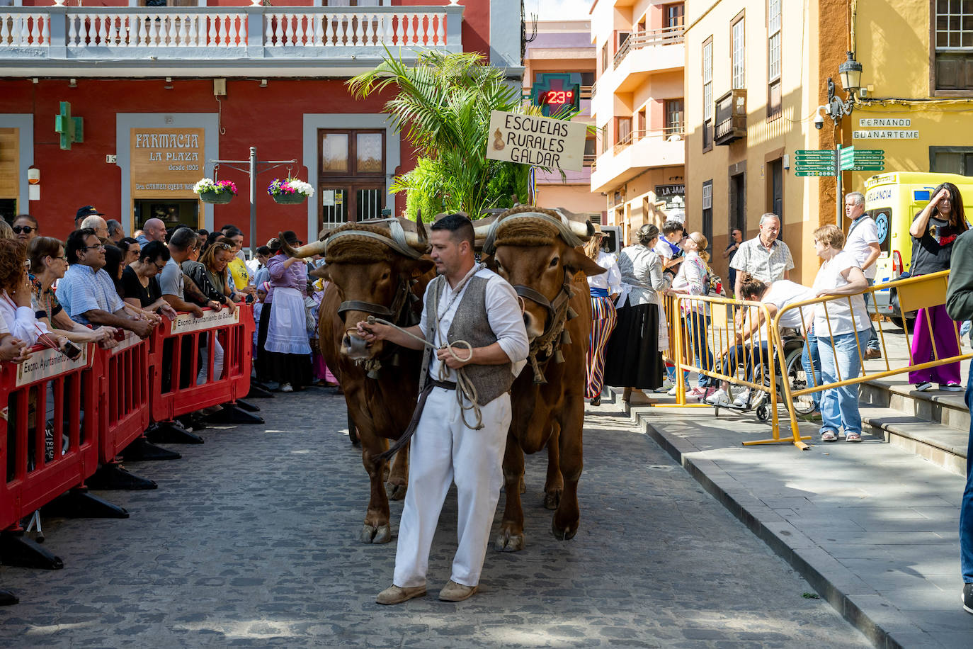 Romería infantil en Gáldar