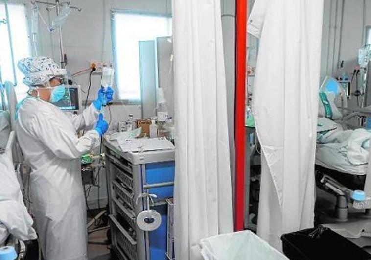 Aumenta el número de profesionales sanitarios