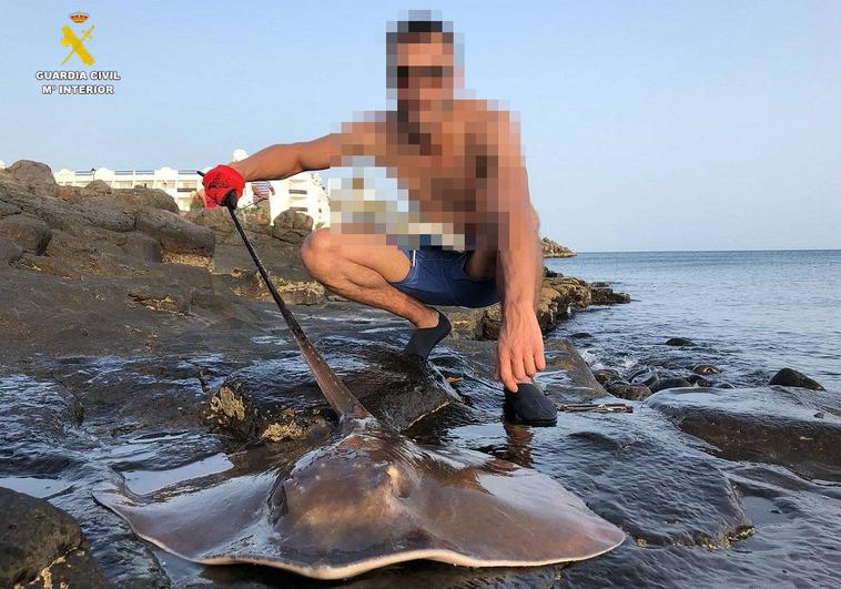 Detenido por vender excursiones para capturar tiburones protegidos en Lanzarote