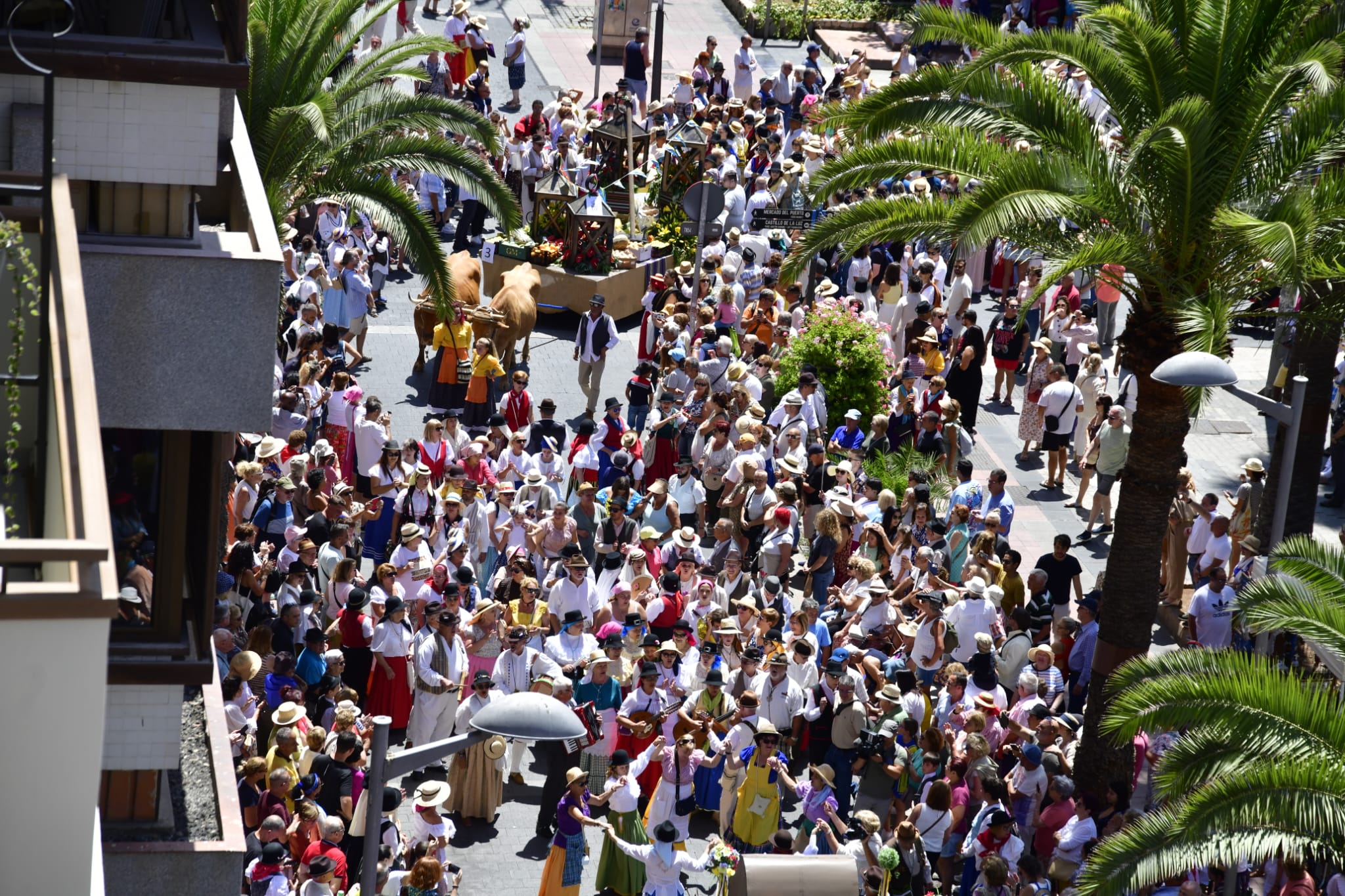 El Paseo Romero, en imágenes