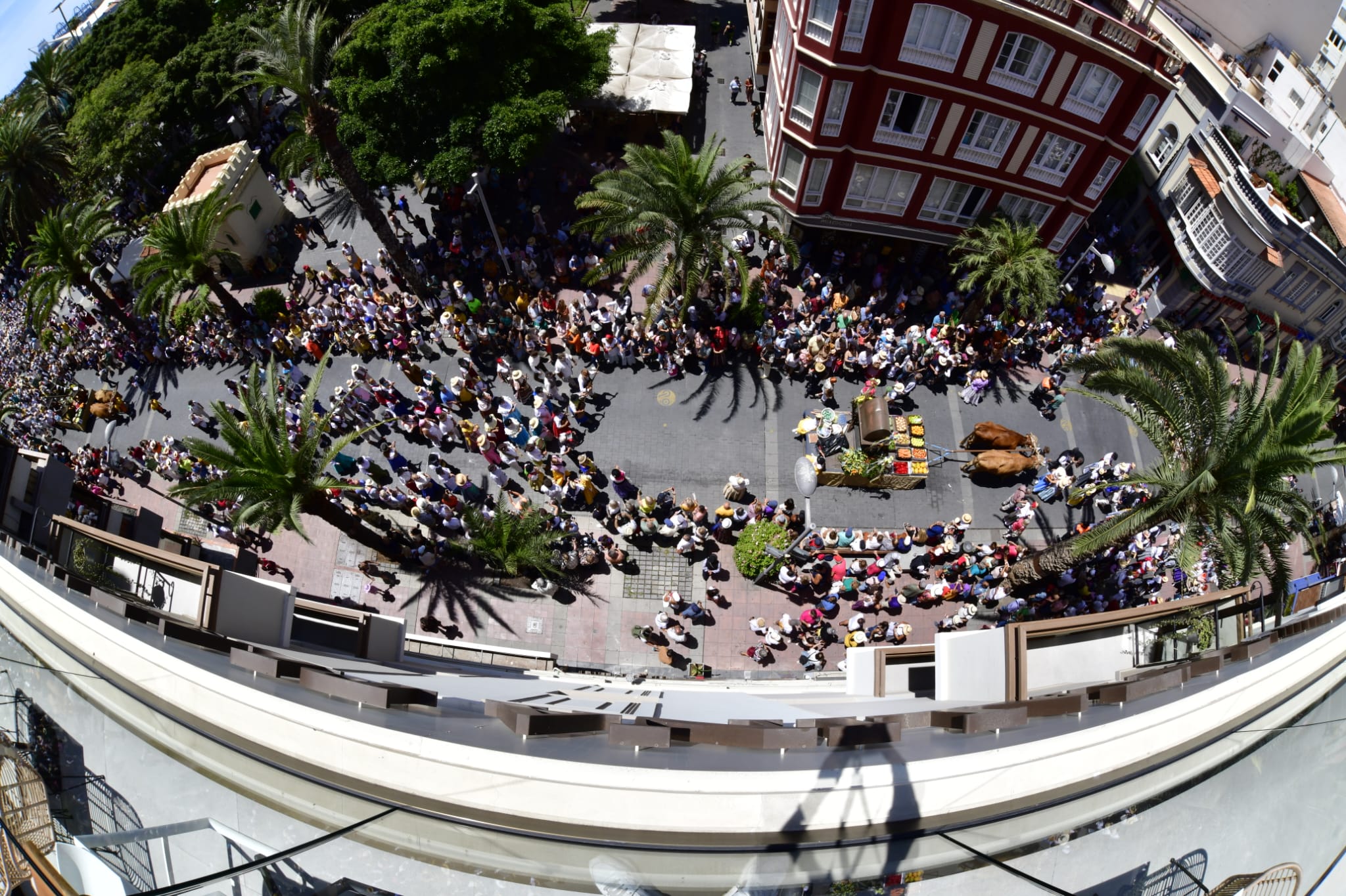 El Paseo Romero, en imágenes