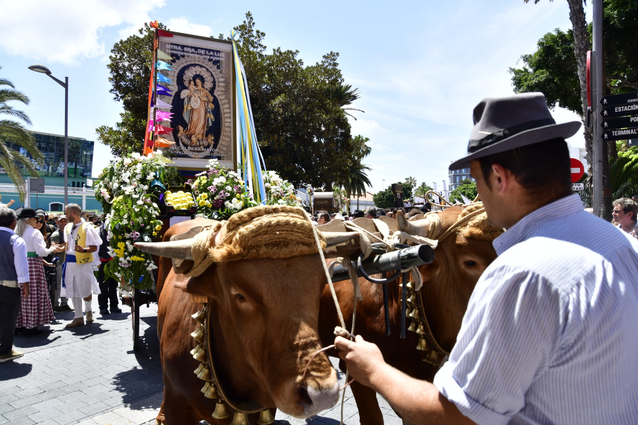 El Paseo Romero, en imágenes