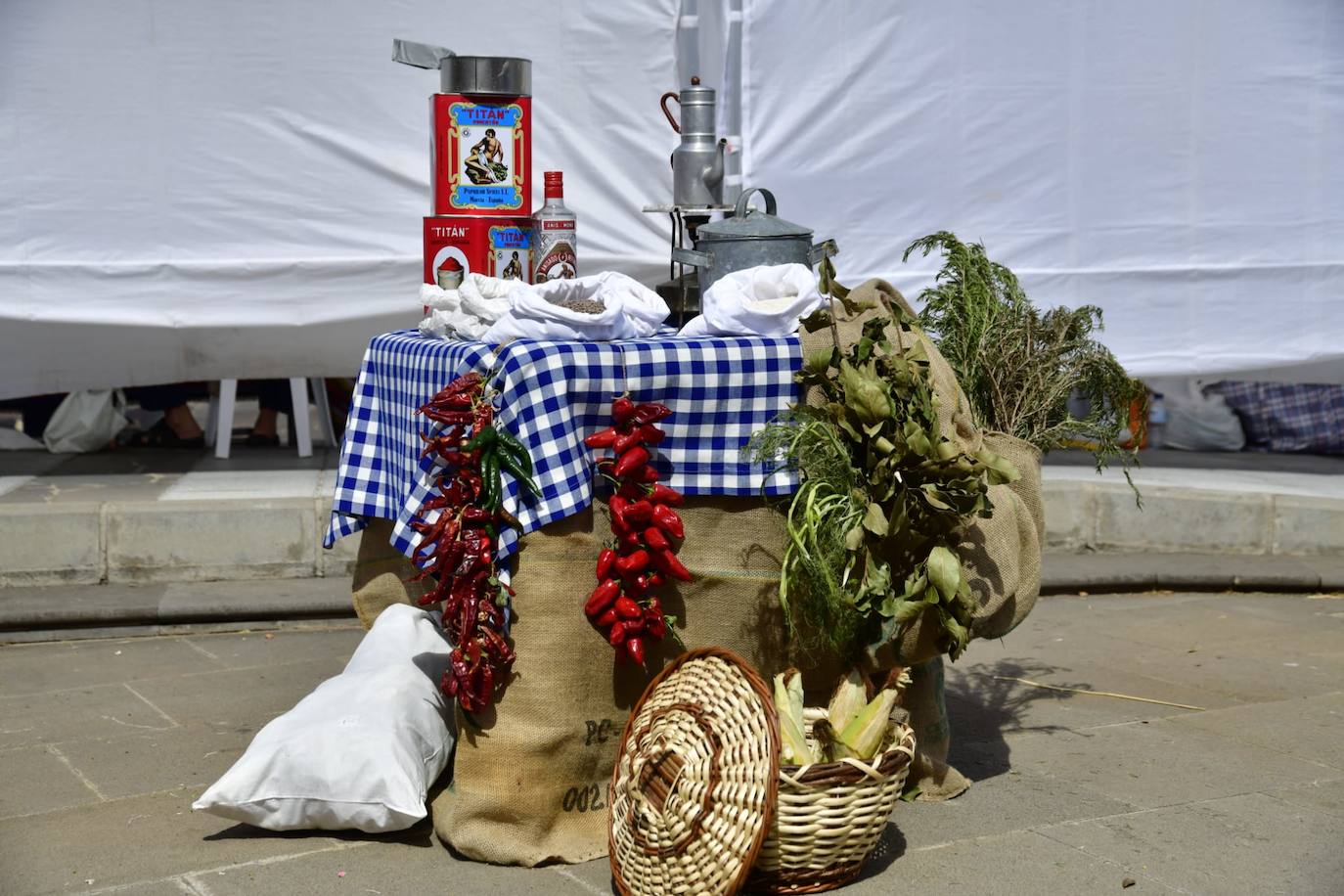 La plaza San Juan acoge el Día de Canarias