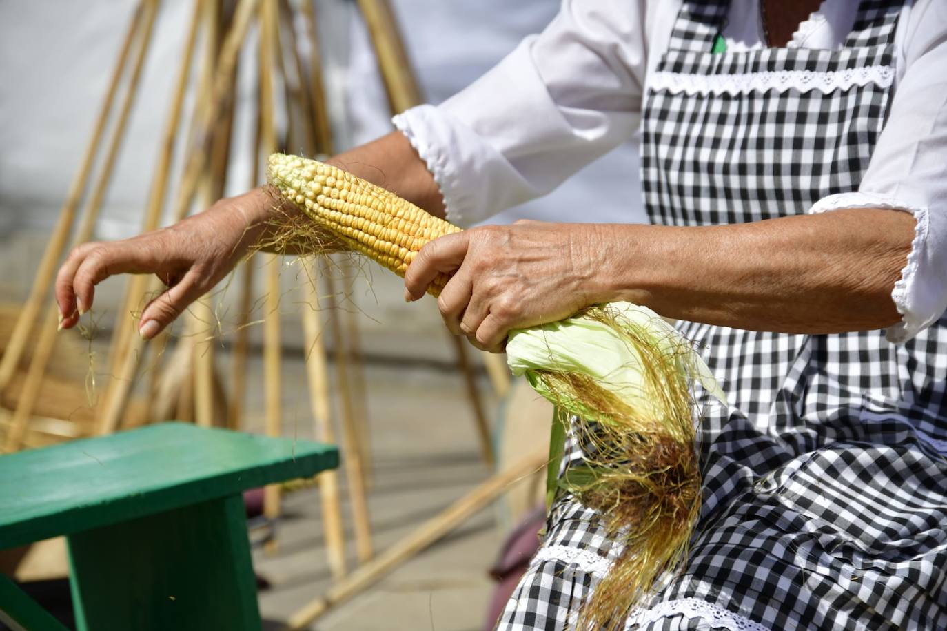 La plaza San Juan acoge el Día de Canarias