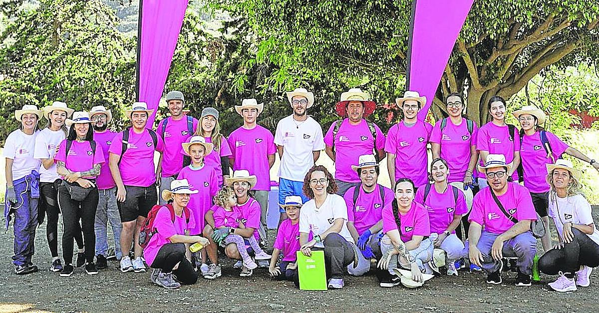 Integrantes del operativo de limpieza desplegado ayer en Tenerife.