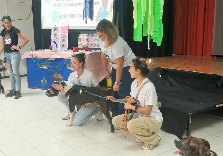 Pinto, Fénix y Glotón van al IES a las charlas contra el abandono de perros