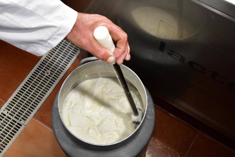 El cortijo de Caideros ensaya un queso de cuajo con fermentos naturales de la leche cruda de oveja
