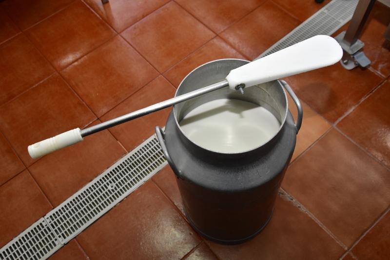 El cortijo de Caideros ensaya un queso de cuajo con fermentos naturales de la leche cruda de oveja