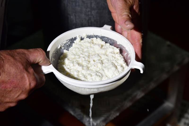 El cortijo de Caideros ensaya un queso de cuajo con fermentos naturales de la leche cruda de oveja