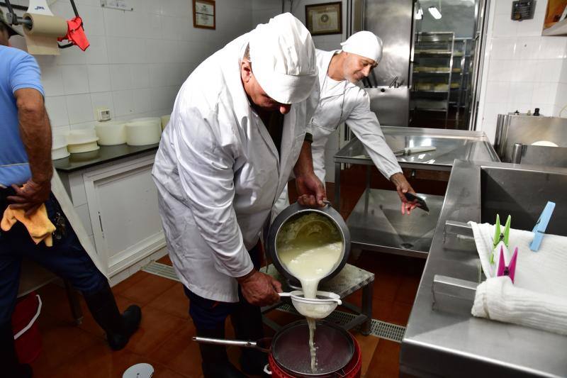El cortijo de Caideros ensaya un queso de cuajo con fermentos naturales de la leche cruda de oveja