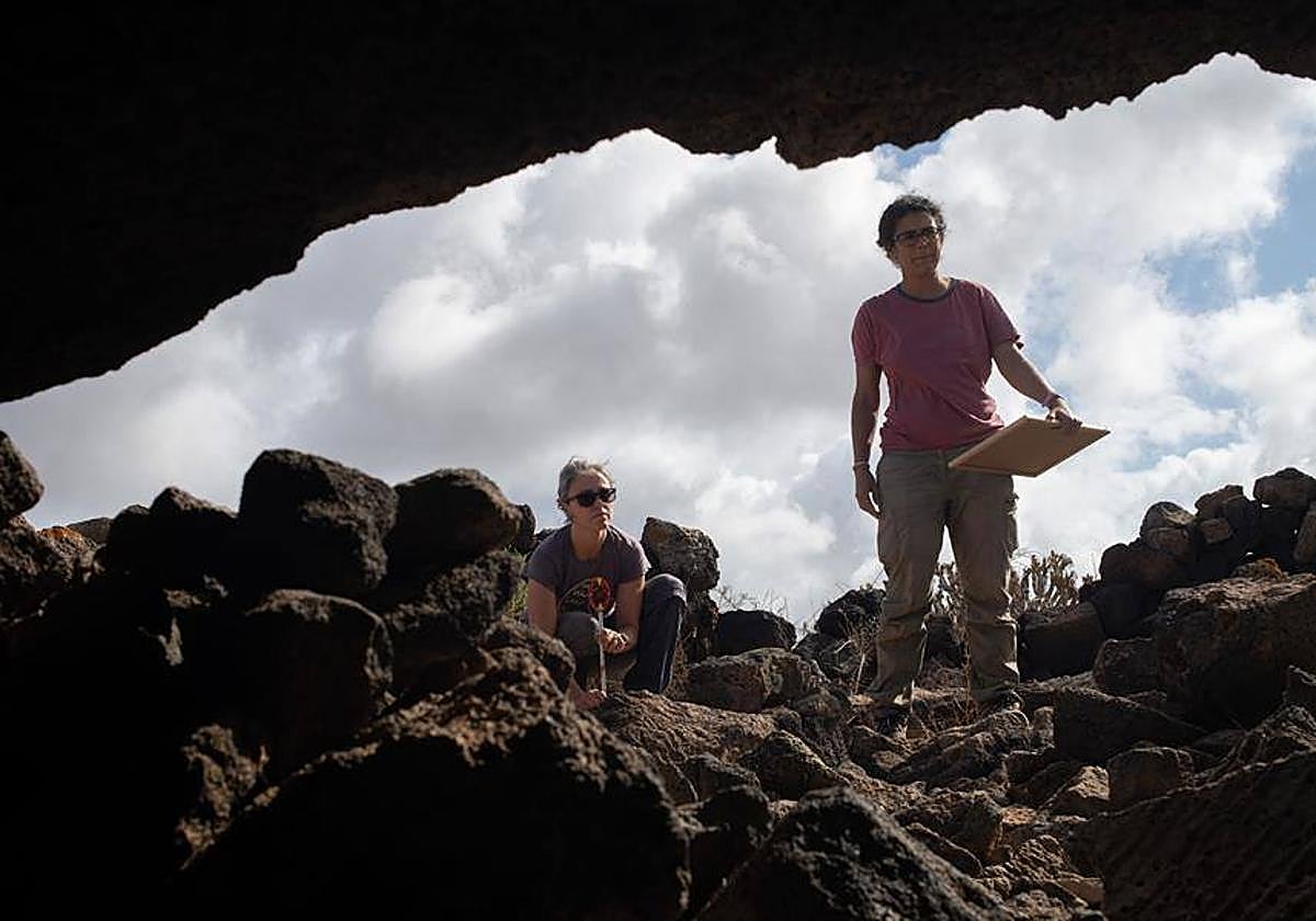 Excavación arqueológica realizada durante el mes de mayo en el yacimiento de Tejate.