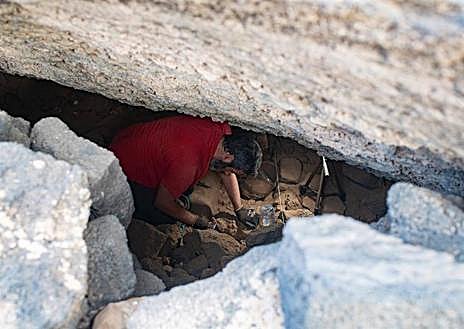 Imagen secundaria 1 - ¿Sabían los majos hacer el suelo de sus casas? Tejate puede tener la respuesta