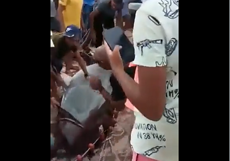 Hallan dentro del tiburón tigre restos del joven ruso devorado en Egipto