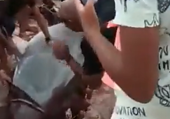 Hallan dentro del tiburón tigre restos del joven ruso devorado en Egipto