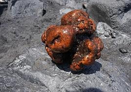 La piedra de ámbar encontrada en el cuerpo del cetáceo.