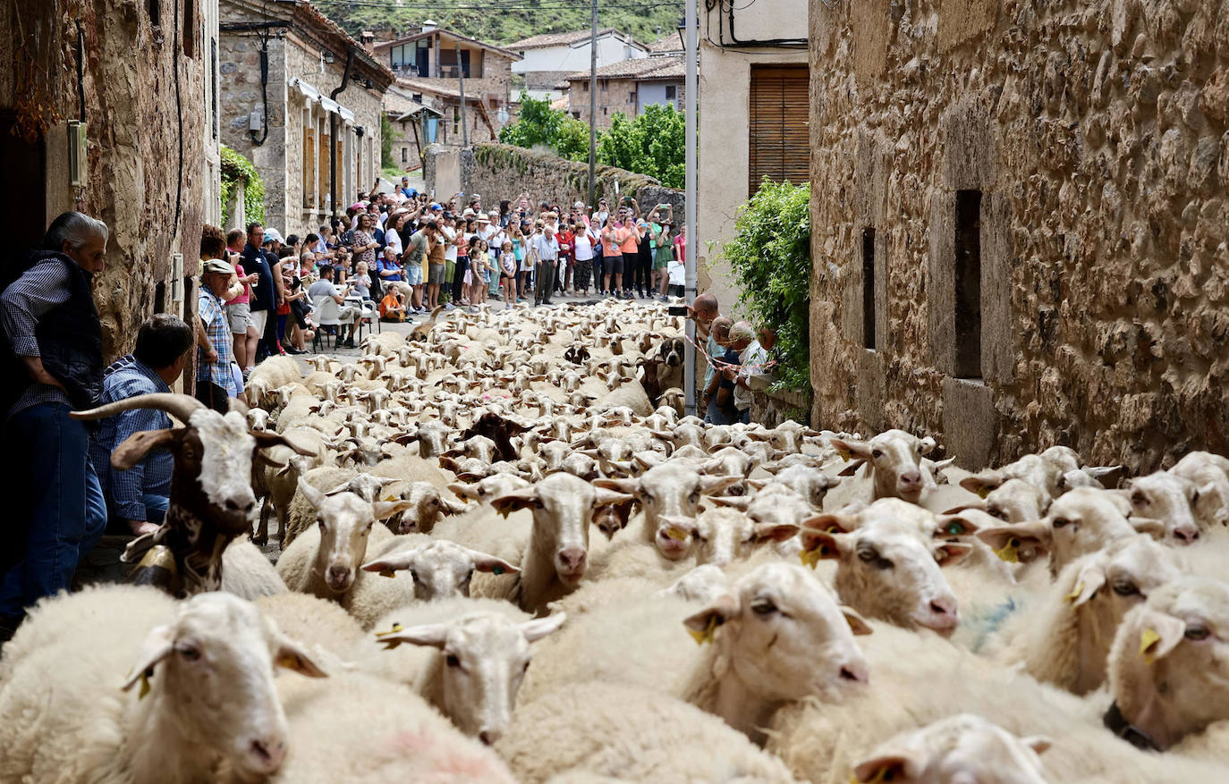El día, en imágenes