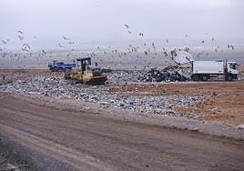 Vertedero de Zurita, en el municipio de Puerto del Rosario.