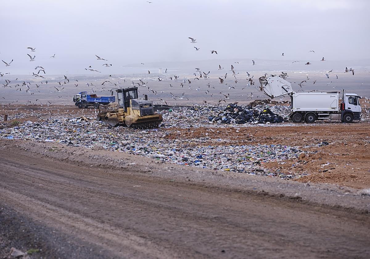 Vertedero de Zurita, en el municipio de Puerto del Rosario.