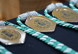 Algunas de las nuevas 23 insignias institucionales que se entregaron en la toma del posesión del Cabildo de Fuerteventura.