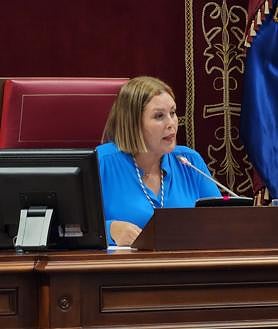 Imagen secundaria 2 - Momentos de la sesión de este martes, 27 de junio. 