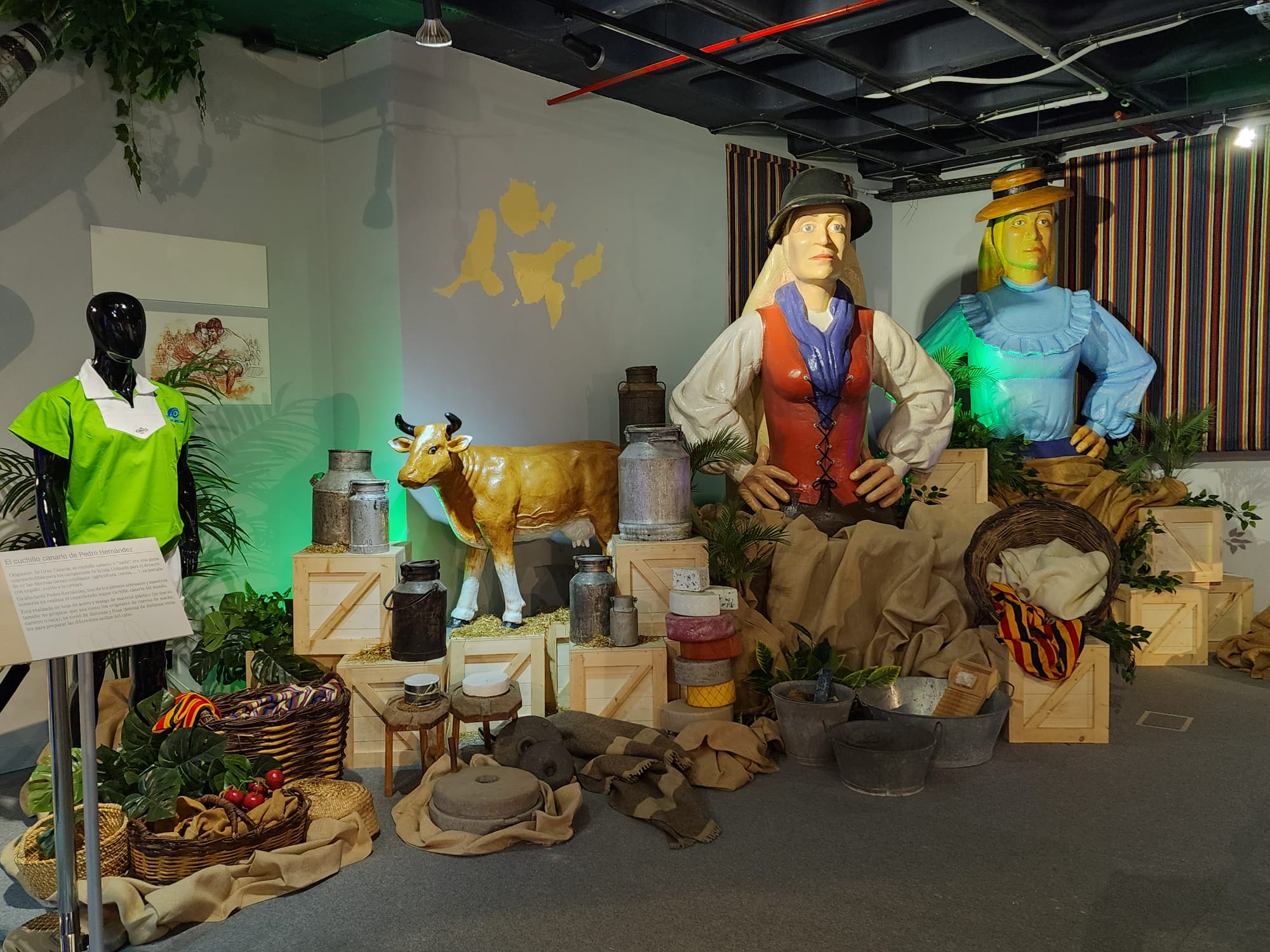 La exposición &#039;Canarias, de la historia al presente&#039;, en imágenes