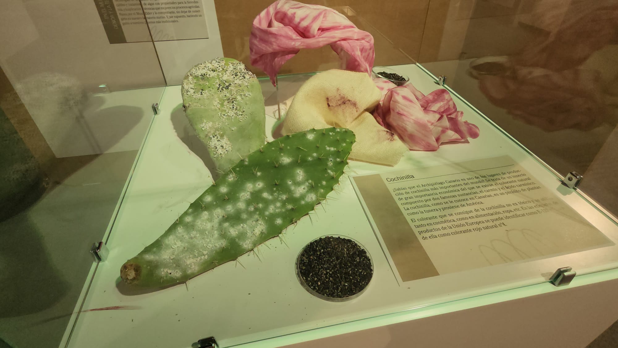 La exposición &#039;Canarias, de la historia al presente&#039;, en imágenes