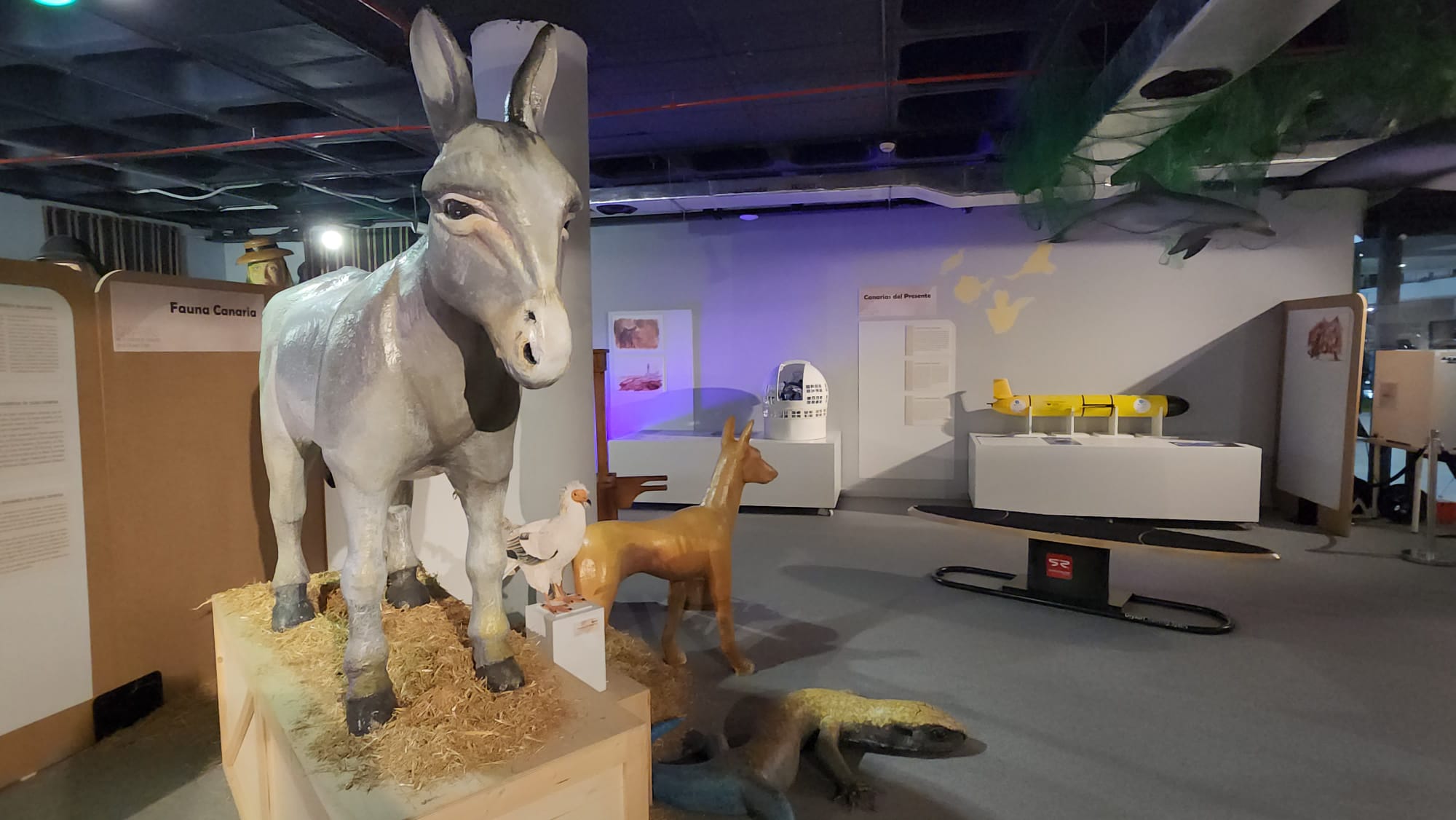 La exposición &#039;Canarias, de la historia al presente&#039;, en imágenes