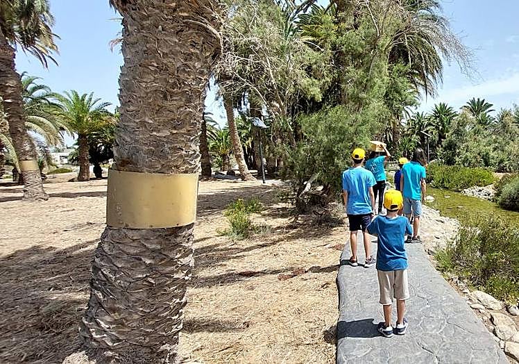 De expedición por el parque Tony Gallardo.