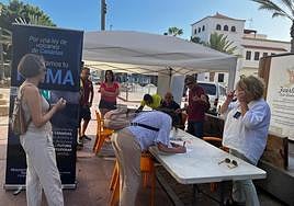 La mesa de recogida de firmas se localiza entre la Casa Palacio y la Dirección Insular del Gobierno central, en la calle peatonal de Puerto del Rosario.