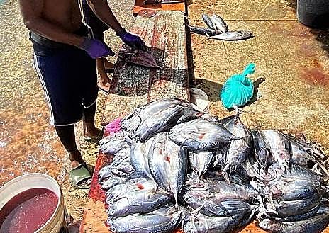Imagen secundaria 1 - Frutas, pescados y salinas en Isla de Sal, Cabo Verde
