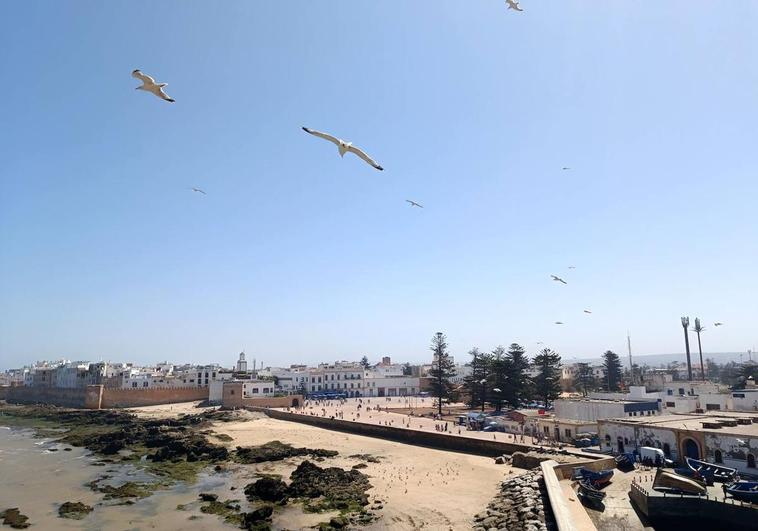 Essaouira, una ciudad para enamorarse en la excitante costa de Marruecos