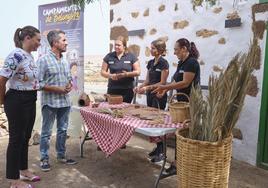 Los consejeros Nuria Cabrera y Rayco León, con el personal de los campamentos en La Alcogida.