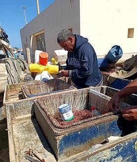 Imagen secundaria 2 - Essaouira, una ciudad para enamorarse en la excitante costa de Marruecos