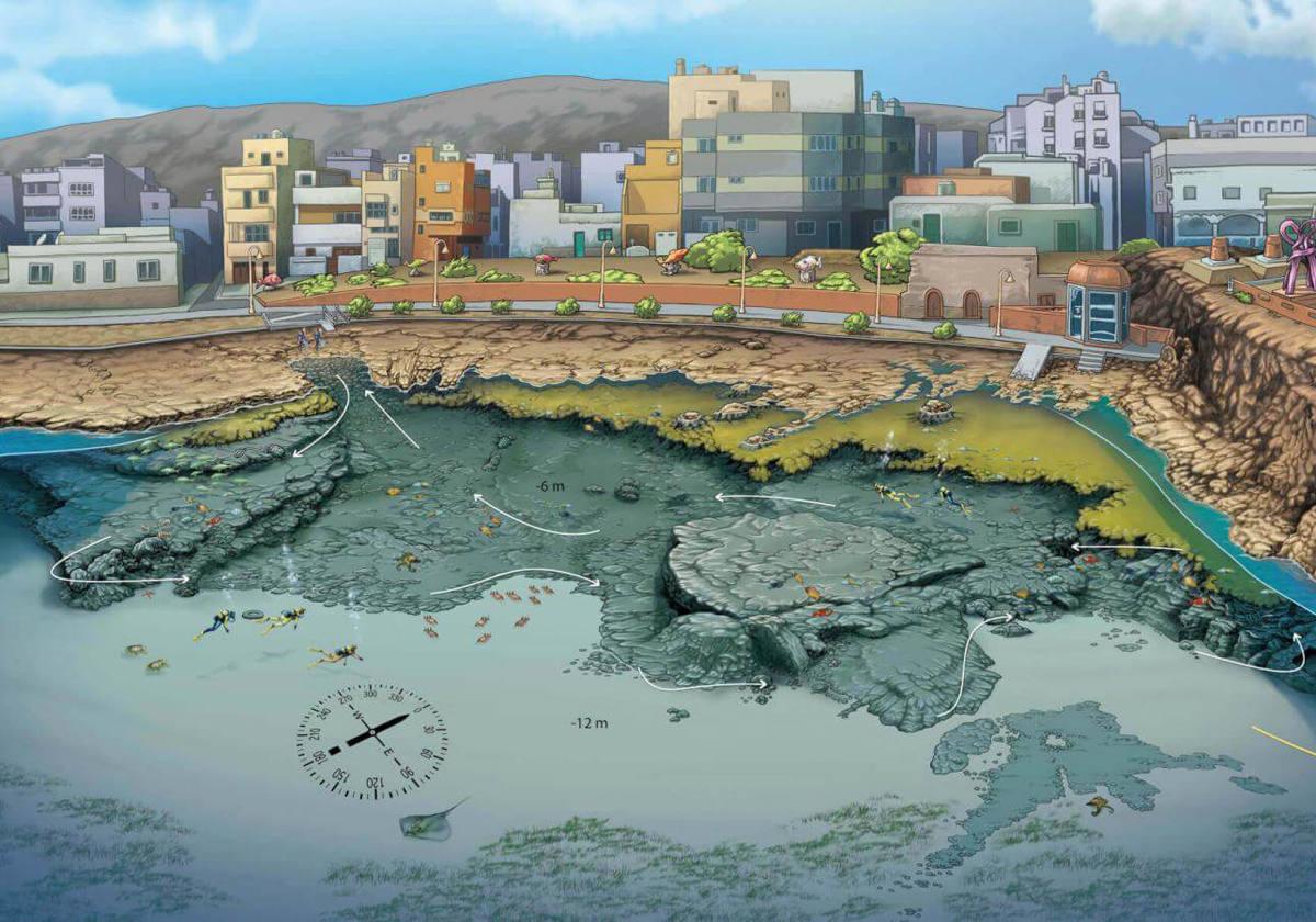 Conoce los puntos de inmersión en Gran Canaria