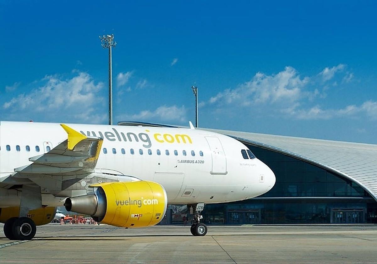 Una imagen de un avión de la compañía de Vueling.