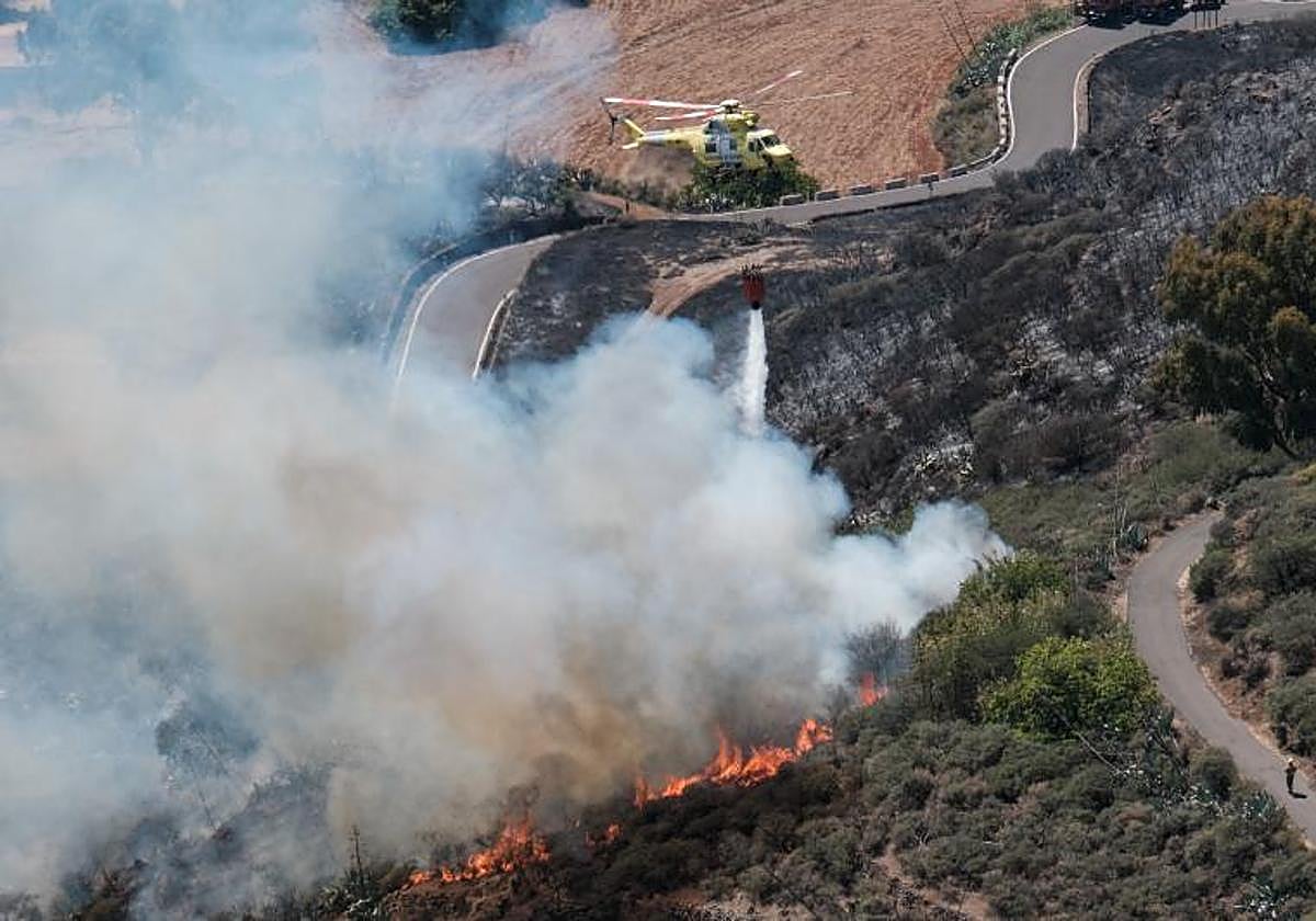 Iamgen de archivo del incendio que asoló la cumbre de Gran Canaria en 2019.