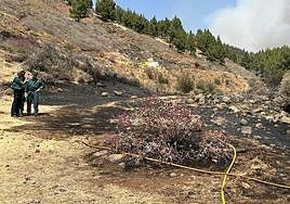 Investigación sobre el terreno.