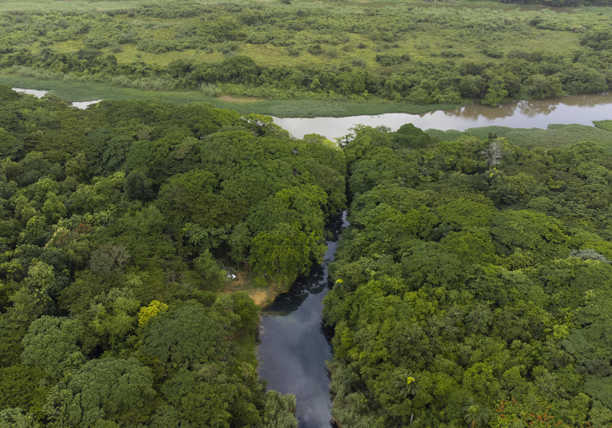 El día, en imágenes