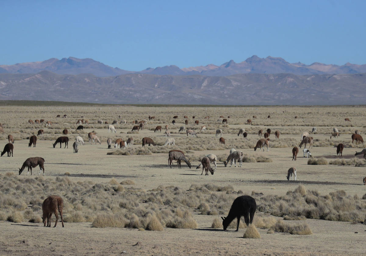 El día, en imágenes