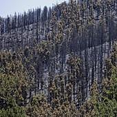 «Ojalá no suframos más sustos hasta las primeras lluvias»