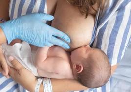 Amamantar y trabajar: reclaman más medidas que favorezcan la lactancia materna
