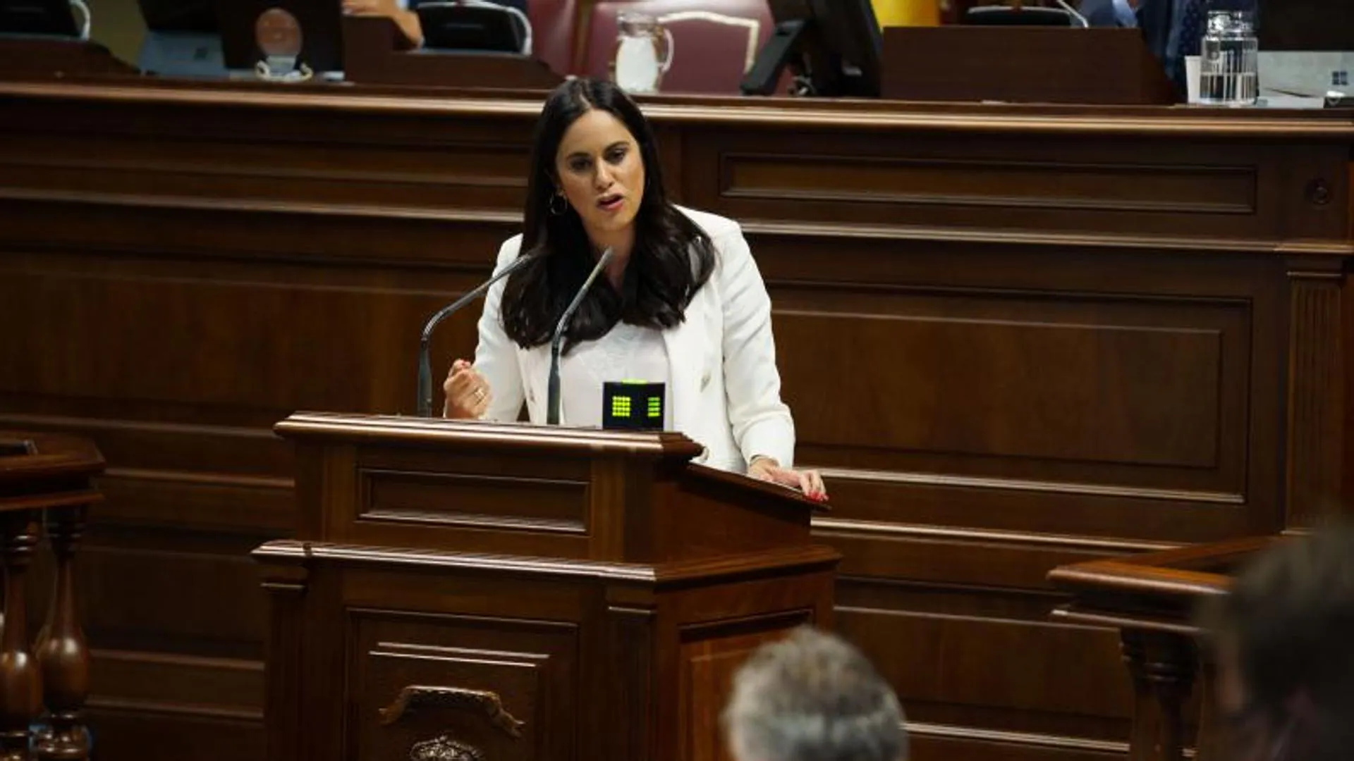 The Canarian Parliament has new deputies: Oswaldo Betancor, Vidina Espino and Cristina Calero