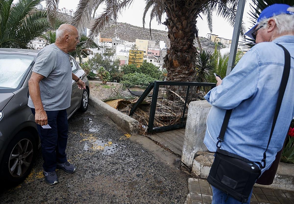 Los vecinos junto a restos de palmera que dice esperan hace mucho tiempo su retirada.