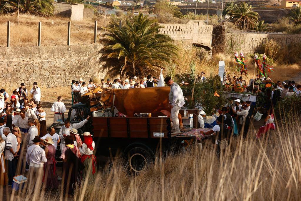 Ofrenda, bailes y carretas en la tradicional romería de San Lorenzo