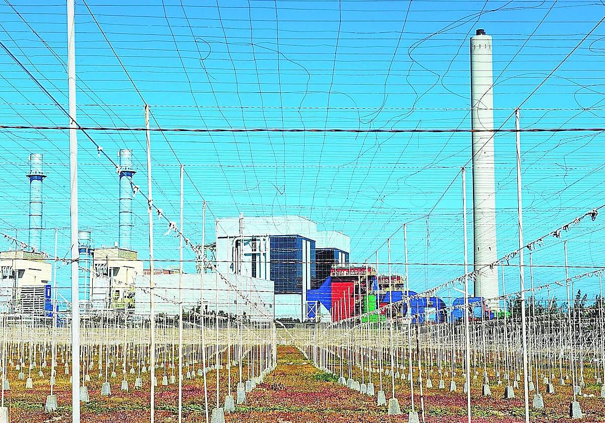 ¿Cuáles son las razones imputables a la aparición de los ceros energéticos en nuestras islas?