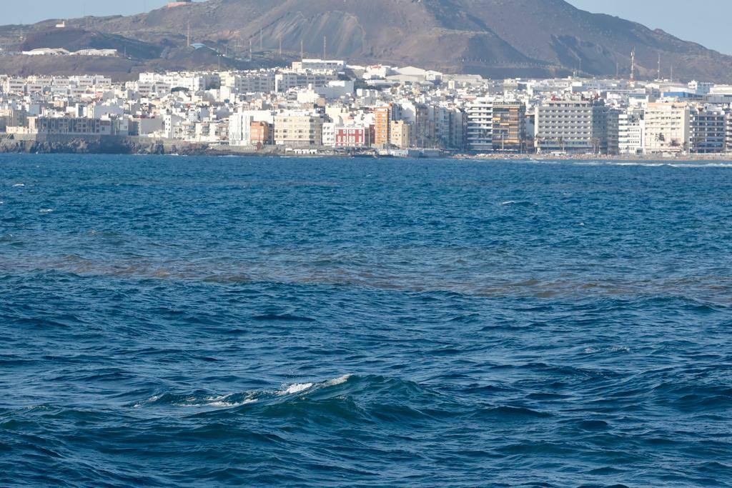 Algunos curiosos se atrevieron a meterse en el mar a pesar de la advertencia