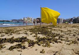 Segundo día de bandera amarilla en Las Canteras por las microalgas